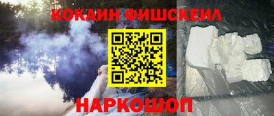 гашик Моздок
