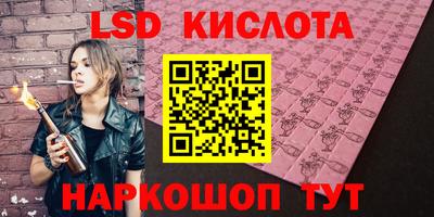 гашик Моздок