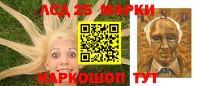 гашик Моздок
