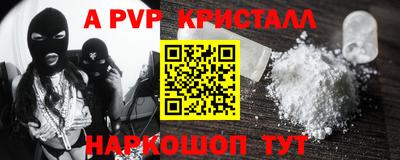 гашик Моздок