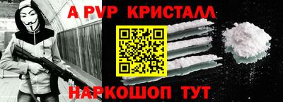гашик Моздок