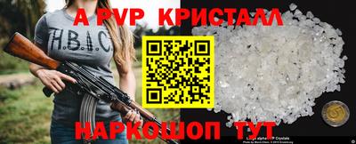 гашик Моздок