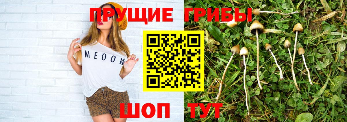 Галлюциногенные грибы MAGIC MUSHROOMS Троицк