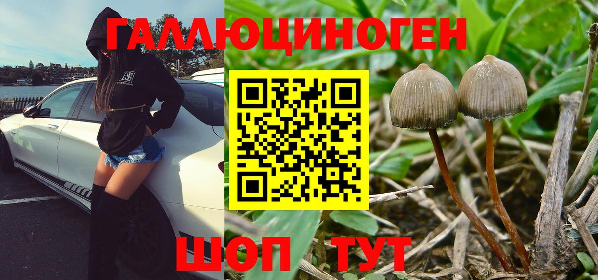 Троицк  Галлюциногенные грибы Magic Shrooms  Вход с VPN 